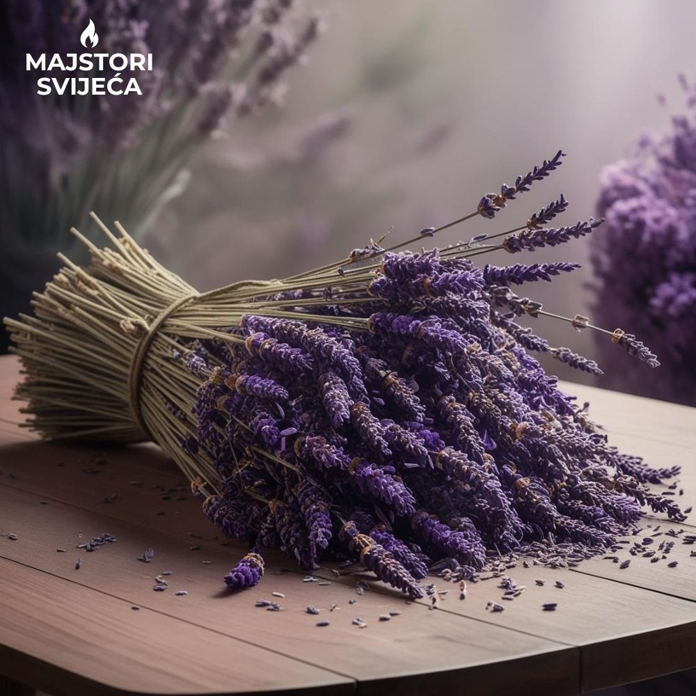 lavanda